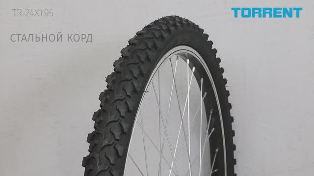 Покрышка TORRENT велосипедная TR-24X1.95