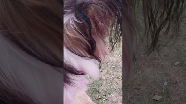 это мое последнее видео.Сегодня я уронила телефон в во