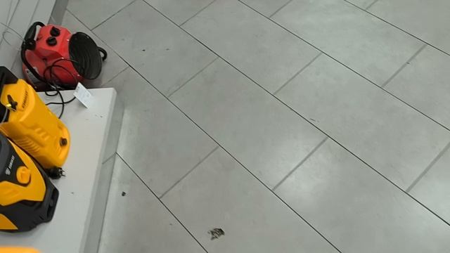 1000002631.mp4
