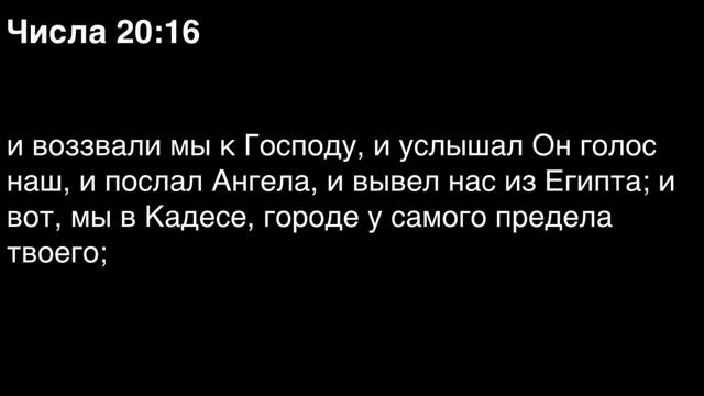 Числа, глава 20