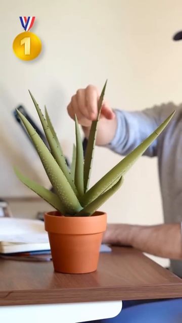Radmiru is evaluating plants! #shorts