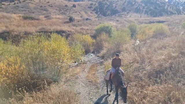 Двухдневный поход на лошадях в заповедник Аксу Жобагл