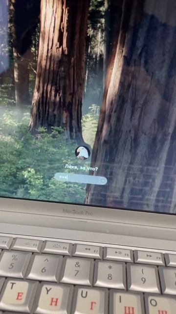 Завёл как надо! macOS 15.5 на Лёхином 17ти летнем макбуке про. #sequoia #core2duo #корч