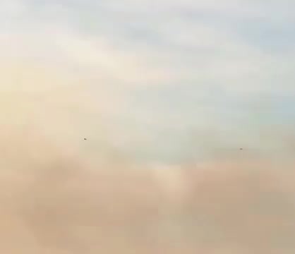 Наши Герани летят над Хохляндией