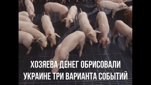 Хозяева денег обрисовали Украине три варианта событий