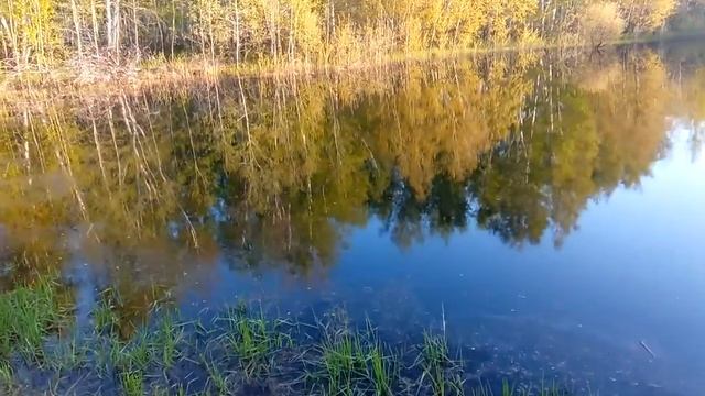 Прекрасное озеро благодаря яндекс картам
