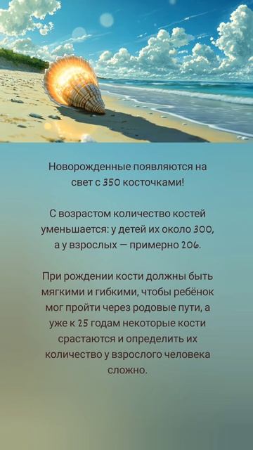 Сколько костей в человеческом скелете? 🤗🌺🌿