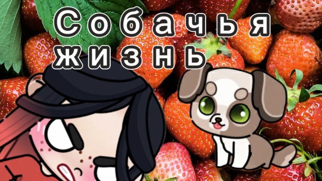 Собачья жизнь🐕 3 серия.