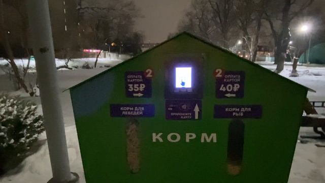 Горпарк, новогодний 🎄 Саратов, 27 декабря 2024 год
