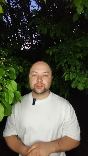 поляне, бортничество и пчёлы