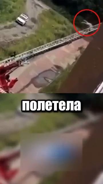 i11ushenka (404)