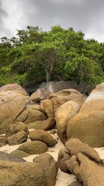 -8484543883640156894