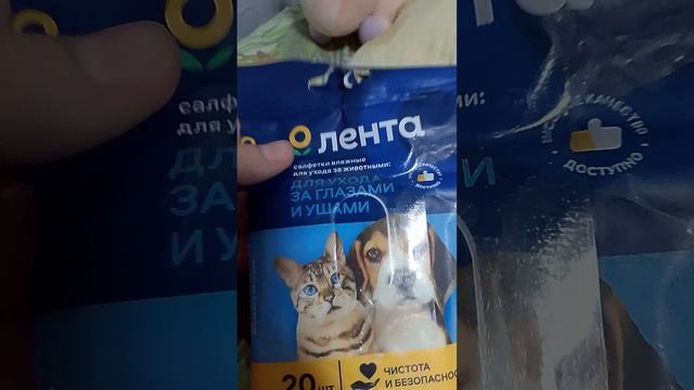мы на даче собираем сумку.