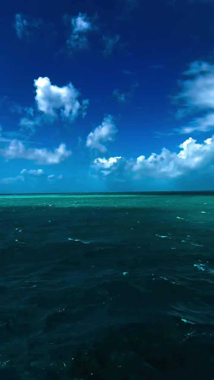 #вода
