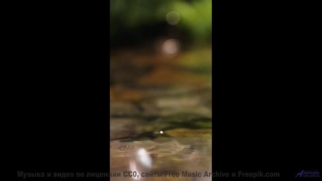 Эта музыка превращает любой отель в романтическое убежище - Without You -- Forget the Whale -- Take
