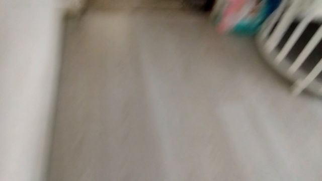 кот убил котейку 5 конец 1 зезона