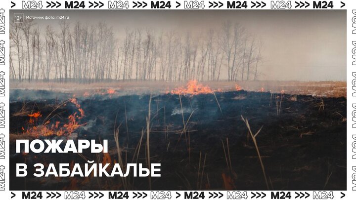 В Забайкалье из-за гроз начались 8 лесных пожаров - Москва 24