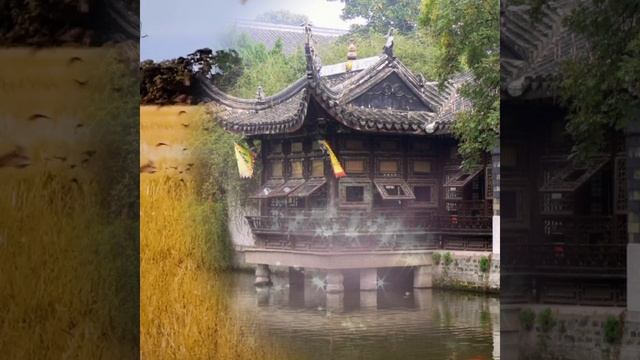 Пою Вечная любовь Мэри Сказ На два голоса
Мужскую партию готовила месяц На китайском