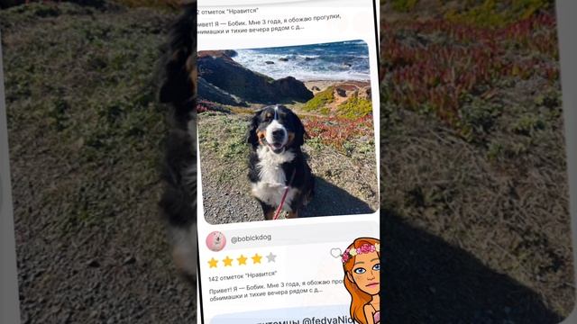 Встречаем вёрстку Cotinder - место, где наши сердца будут биться в унисон