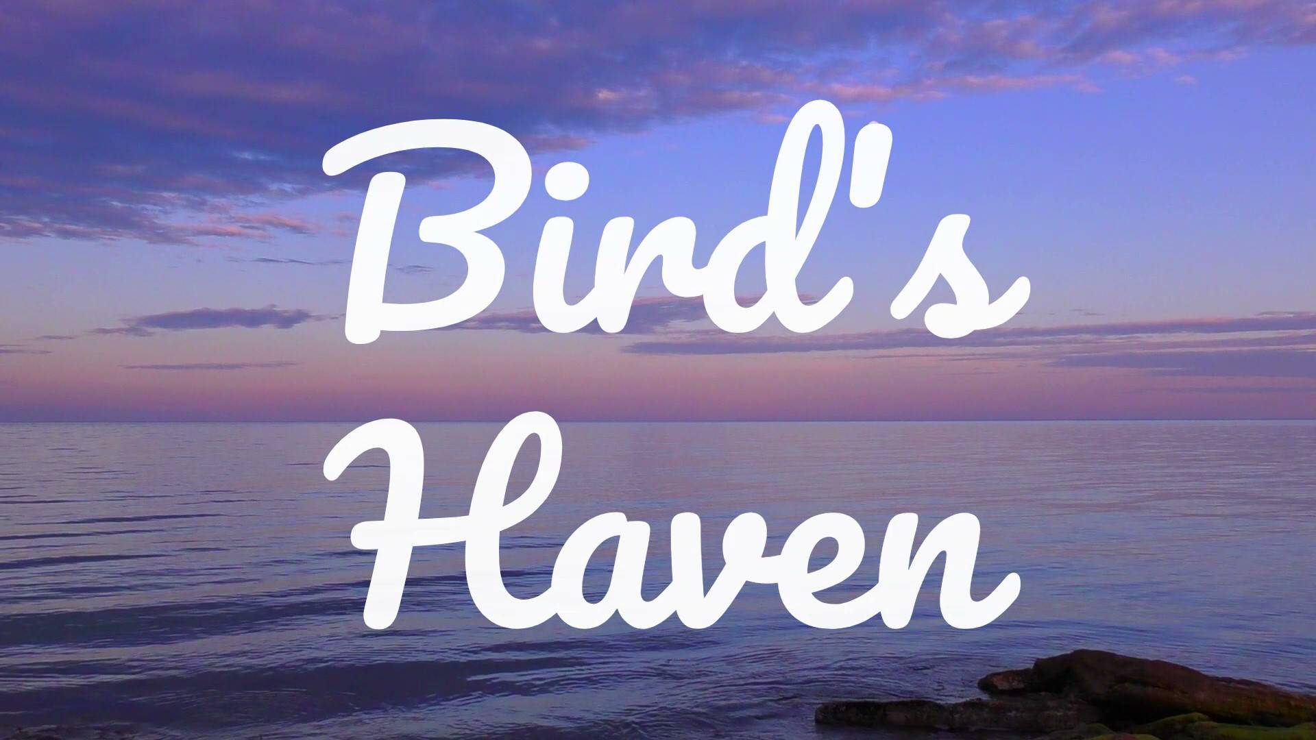 Bird's Haven