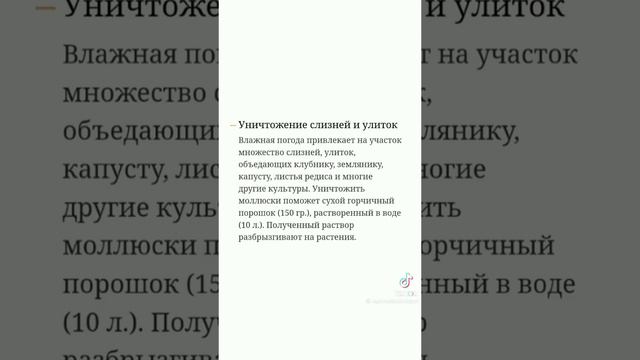 VID-20250526-WA0063.mp4