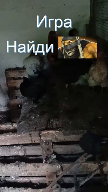 #zadotan #dota #dota2 #дота #дота2