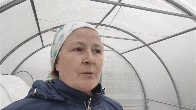 26.05.2025. Похолодало. Гуляю по саду. Теперь Цыпочка не замёрзнет.