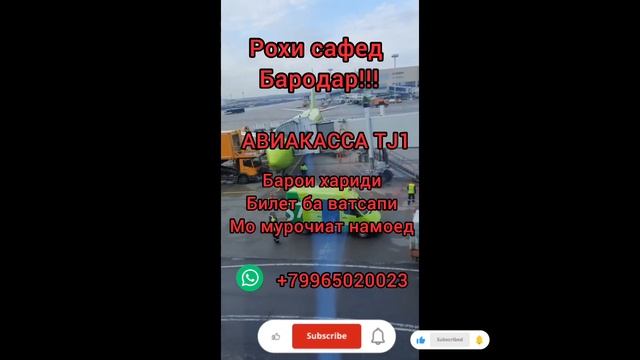 Нархи билет ✈️ 14 июня аз👉🇷🇺🛫Москва ба Куляб Бохт?