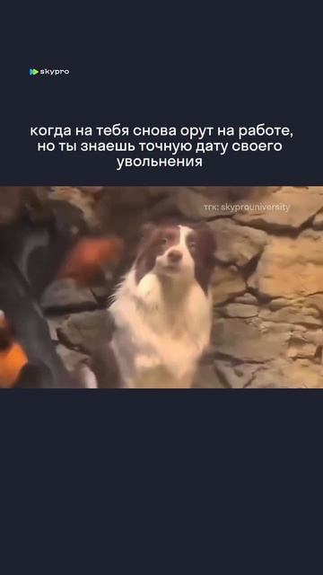 Монолог моей души уже все решил