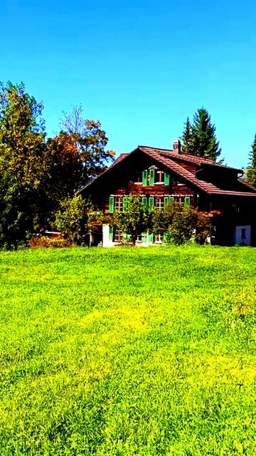 Камера засняла магический момент