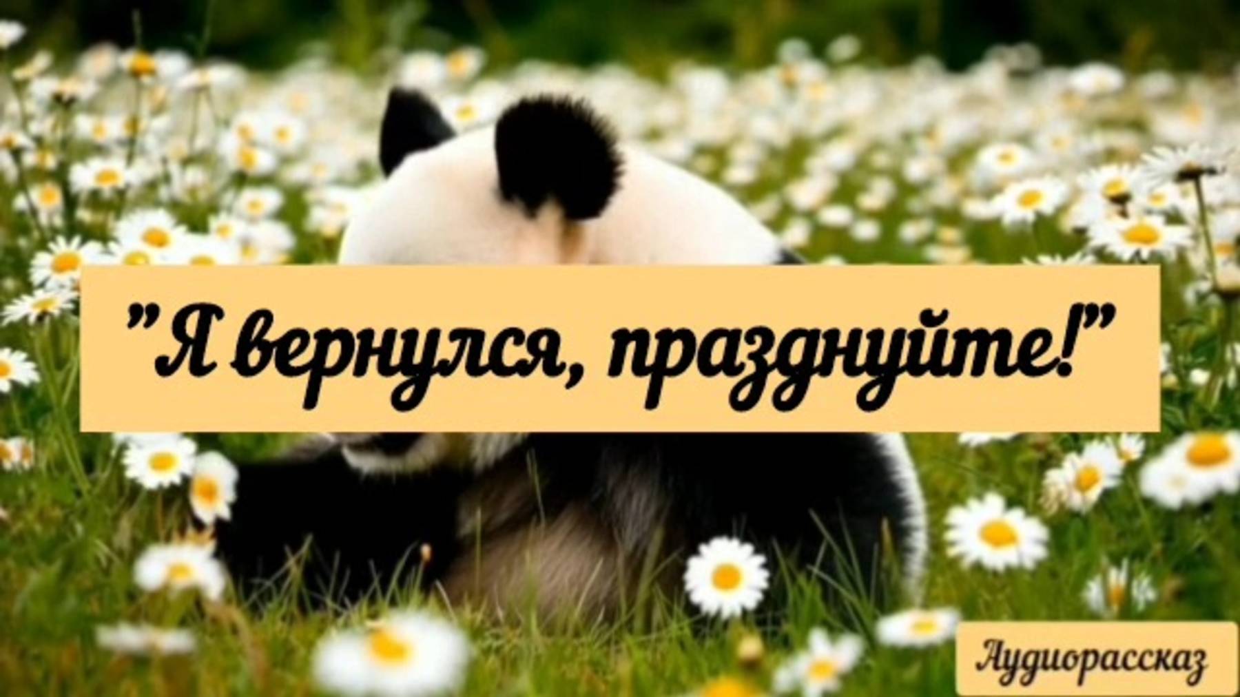 Я вернулся, празднуйте! Аудиорассказ