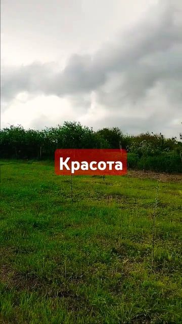 красоты...