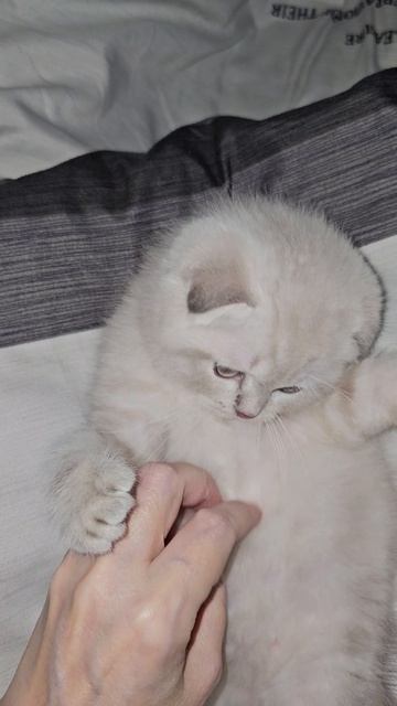 нежность