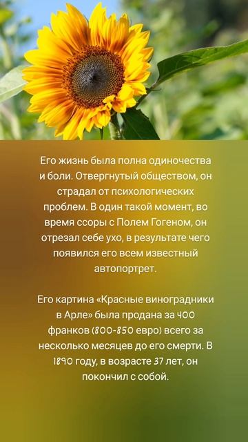 Жизнь Винсента Ван Гога 😐🖼️🎨