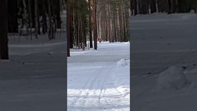 Злата 7 лет, первый год обучения лыжным гонкам