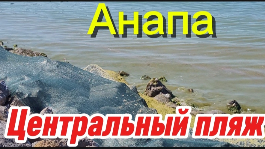 Ужасное зрелище на пляжах Анапы.