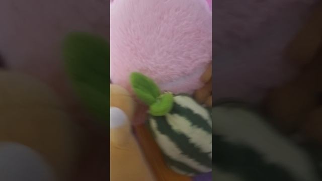 1000022592.mp4
