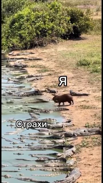 🕯 Когда уже ничего не страшно