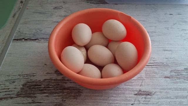 Домашний хлеб и плов, всем спасибо
