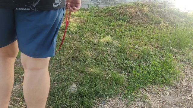 VID_20250527_163025.mp4