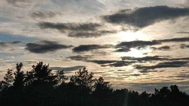 Хазин на закате 🌅: про "партию мира" ☮️. Честно человек сказал! 👍