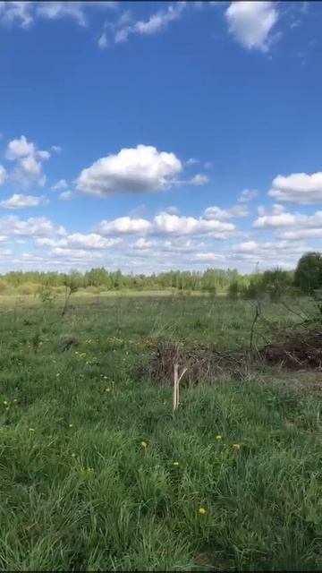 д. Моденово 50:18:0080421:1420
