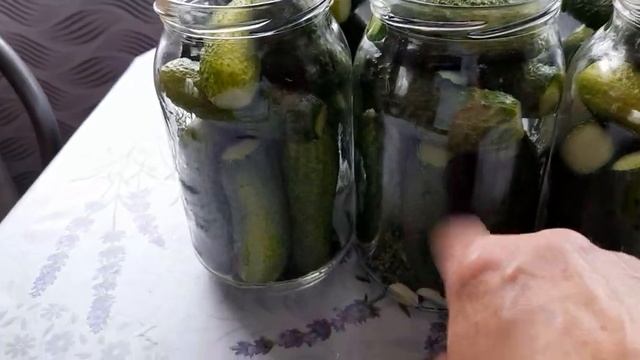 мариную огуречки и желе из черной смороды делаю