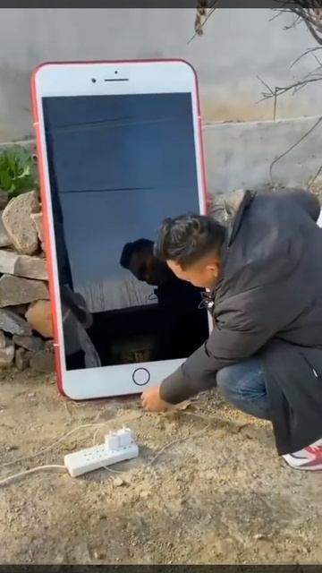Китайский айфон по цене американского