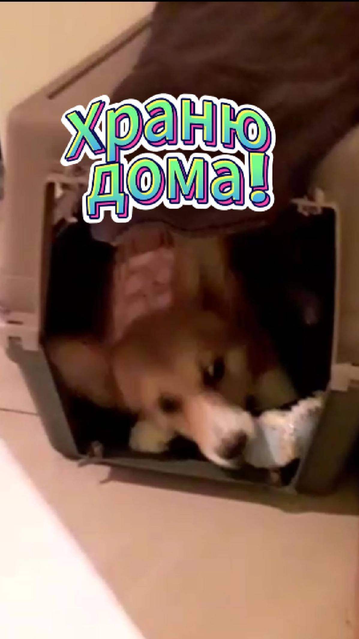 Мячик любимый один у Яши, почему надо делиться?