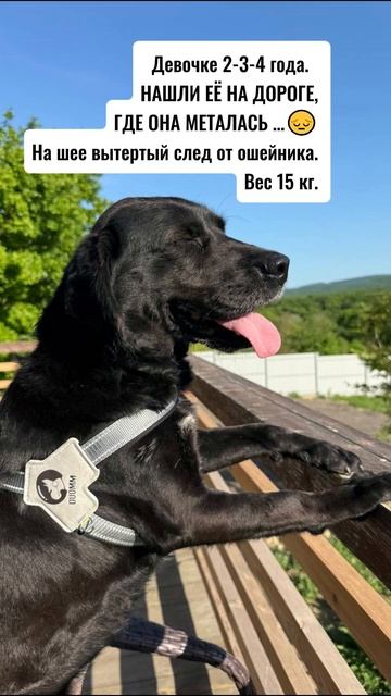 Знакомьтесь - МАМБА❤