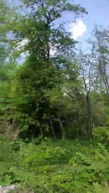 д. Заречье 50:18:0080426:1191