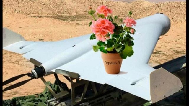 Звуки прилета Гераней