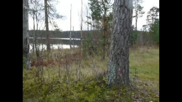 Таинственный остров часть 6