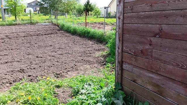 Всем здравствуйте.Огородные работы продолжаются.
